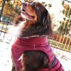 Alpine Extreme Weather Puffer Coat
