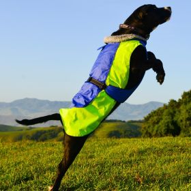 Alpine All-Weather Dog Coat (Color: Blue and Green, size: large)